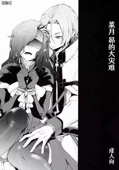 (C93) [Sonic (PANA)] Natsumi Schwarz no Sainan | 菜月昴的大灾难 (Re:Zero kara Hajimeru Isekai Seikatsu) [Chinese] [Aelitr个人汉化]