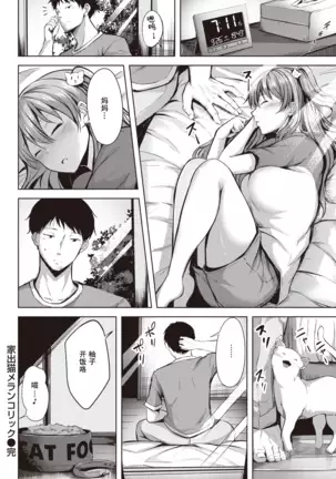 Iede Neko Melancholic | 离家出走小猫的忧郁