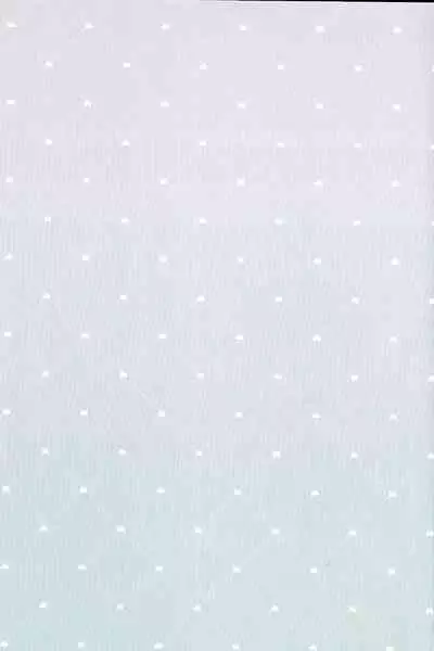 ほうろうしゃくんとスカラマシュくんをわからせるほん