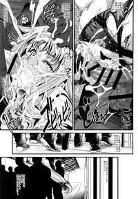 (C91) [Metabo Offensive Smell Uproar (Itachou)] F -Hontou no Watashi- (Mahou Shoujo Lyrical Nanoha)