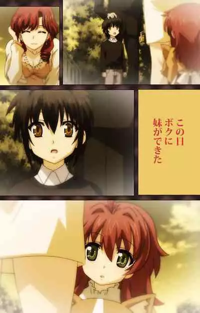 My Imouto Koakuma na A-Cup complete ban