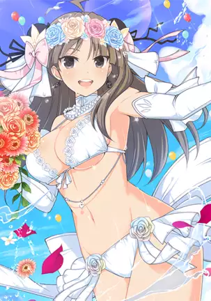 Master Ninja Senran Kagura NEW LINK