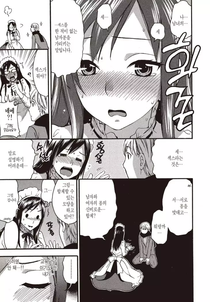 ヒメゴトマタニティ