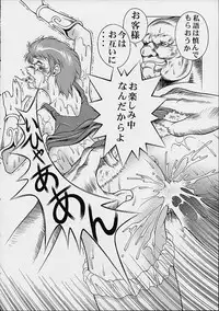 (CR30) [Studio Wallaby (Seishinja)] Princess Shiris (Record of Lodoss War)