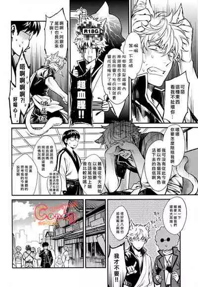 (HaruCC19) [3745HOUSE (MIkami Takeru)] Like cat and dog (Gintama) [Chinese] [糖分漢化組]