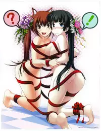 Maji de Watashi ni Koi Shinasai Visual Fan Book