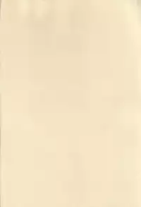 [LFM (Usagi)] Flashing Pink (Sakura Taisen)