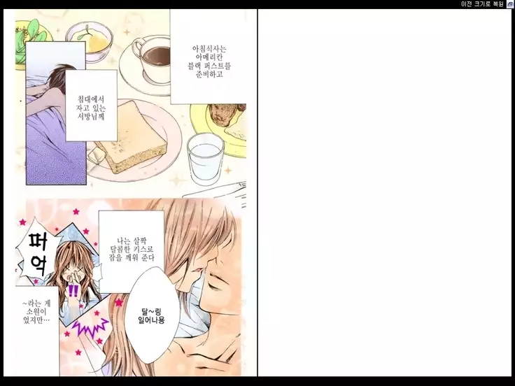 Naisho no Love Mariage | 비밀의 결혼