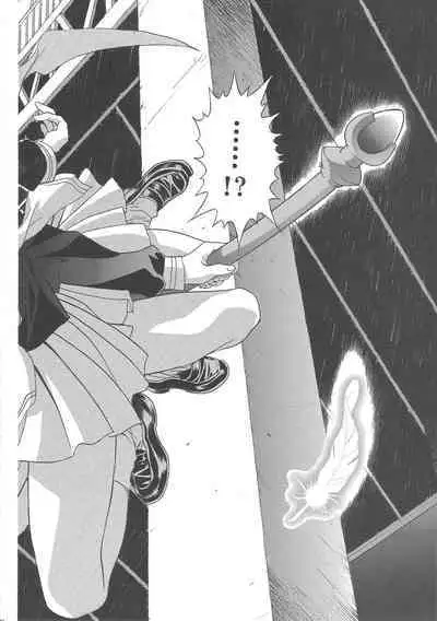 Sakura Ame Wide Ban