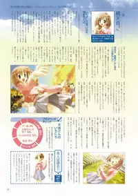 Canvas Visual Fan Book