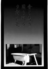 [DPP] usuyami Twillight's Last Gleaming (nadesico)