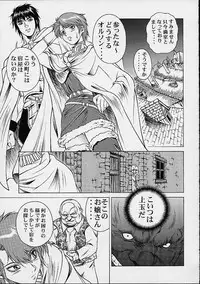 (CR30) [Studio Wallaby (Seishinja)] Princess Shiris (Record of Lodoss War)