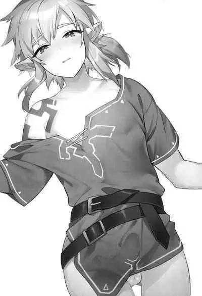 Konran Yuusha | The Legend of Link: Skyward "Sword"