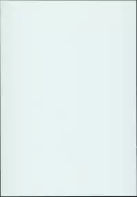 (C94) [Nyuu Koubou (Nyuu)] Tamamo to H Dekiru Fuuzokuten (Fate/Grand Order) [Chinese] [后悔的神官个人汉化]