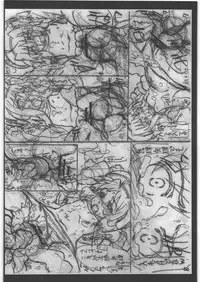 (C81) [PHYSALIS (Seresu)] Lyrical Nanoha Another Episode 02 (Mahou Shoujo Lyrical Nanoha)