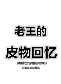 Skin recollection(潜水员汉化)