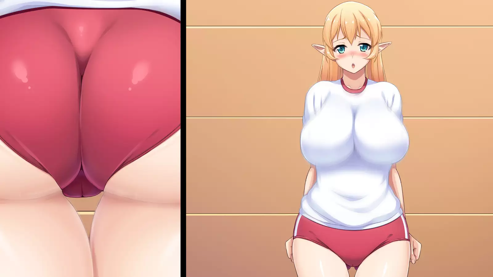 Junshin na Elf no Ryuugakusei ni Anal Choukyo shiyo！