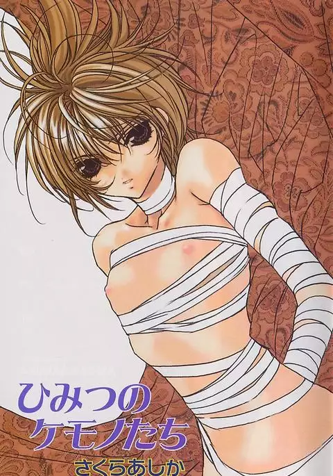 Himitsu No Kemonotachi