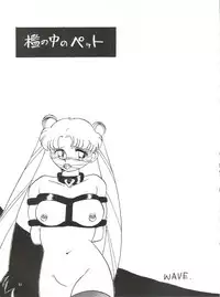 (C45) [Ariari no Nashinashi (Wave)] Side Story Ver. 3.01 (Bishoujo Senshi Sailor Moon)