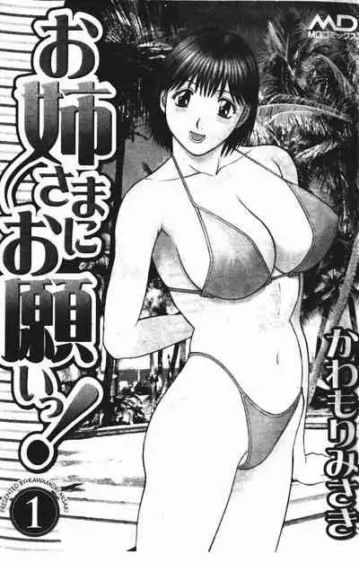 Onee-sama ni Onegai! 1