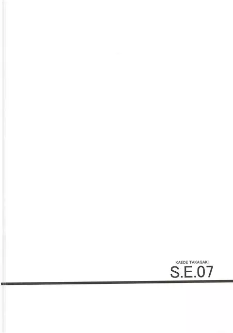 S.E.07
