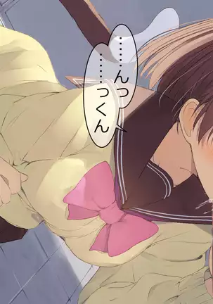 Ore no Kanojo ni wa Nekomimi ga Haeteiru