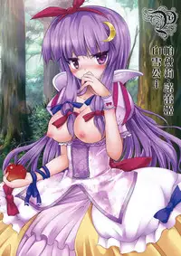 (Aka no Hiroba 5) [Depthbomb (Shimo)] Hontou wa Ecchi na Koudouwa (Touhou Project) [Chinese] [靴下汉化组]
