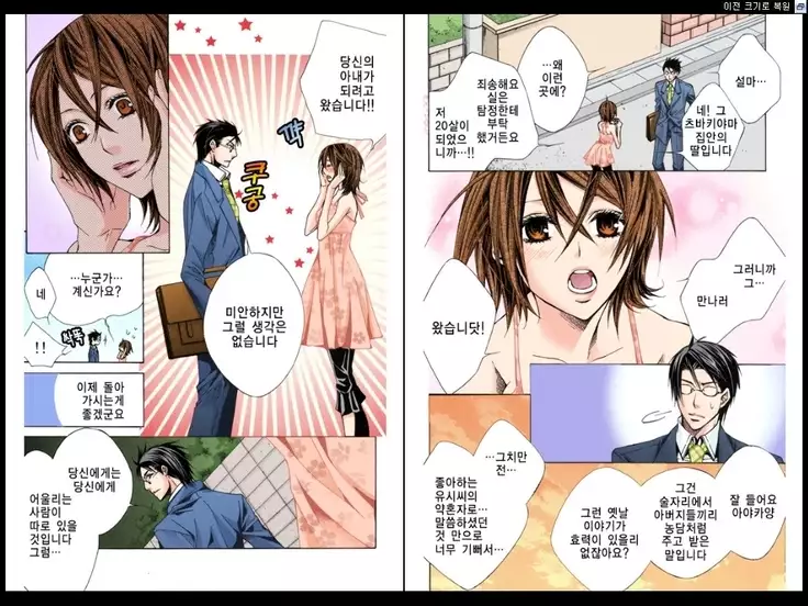 Naisho no Love Mariage | 비밀의 결혼