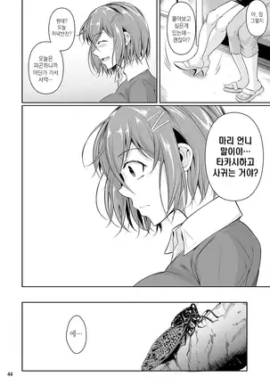 Touchuukasou | 동충화초 series