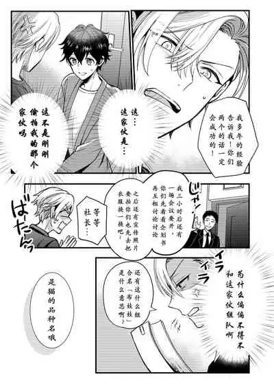 BOY x BOY IDOL COLLECTION! | 男男爱豆搜罗!