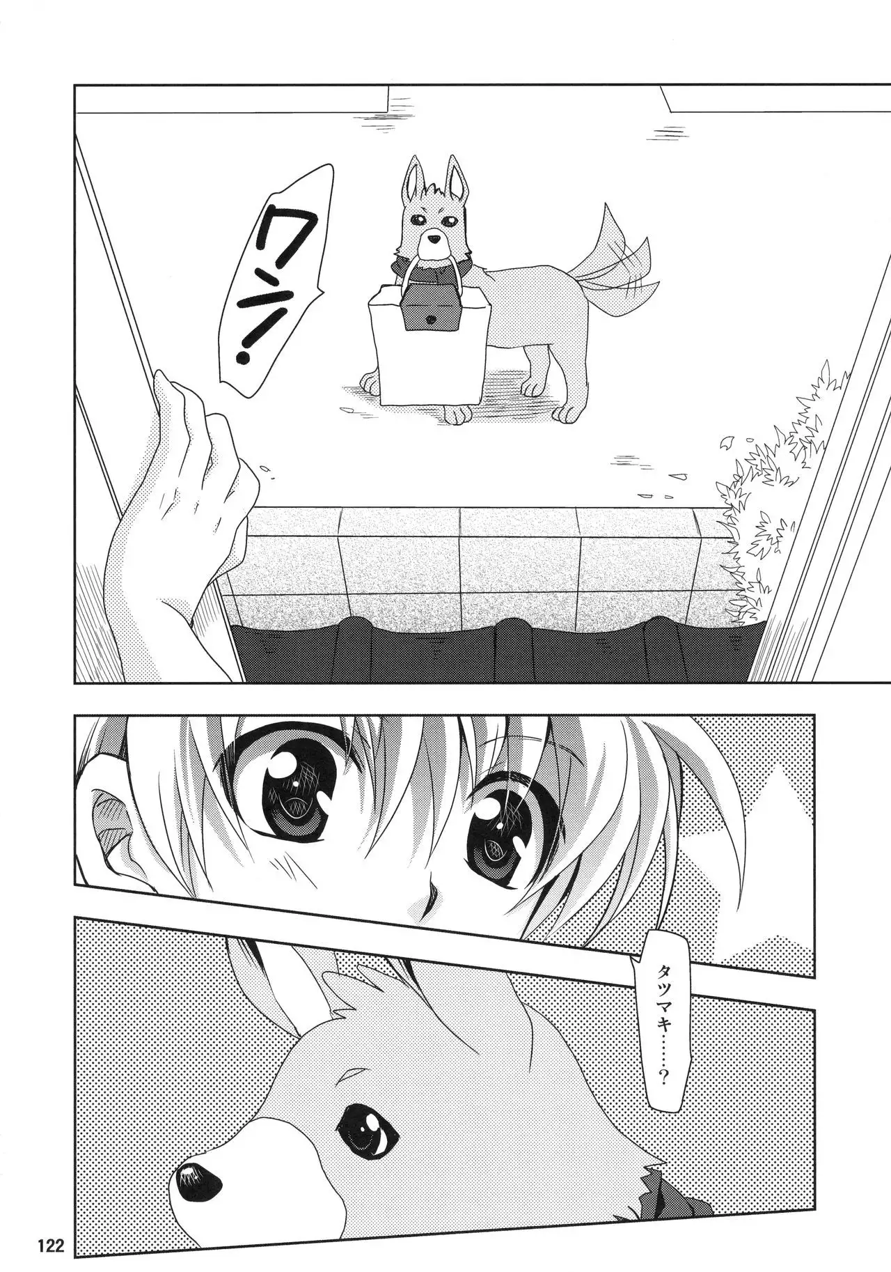 Wonderful Soushuuhen