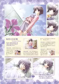 Canvas Sepia iro no motif Visual Fan Book