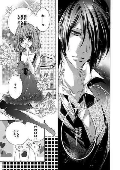 鬼畜兄弟の悶絶調教～私はいいなり奴隷～