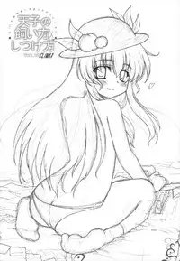 (Reitaisai 9) [Newtype Kenkyuujo (Kotowari)] Tenshi no Kaikata Shitsukekata CLIMAX (Touhou Project)