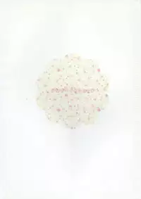 (C81) [Watakubi (Sasai Saji)] 18-kaime no Birthday to 19-kome no Yakusoku (Rewrite)