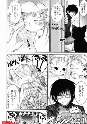 オトメ解禁日 しーざー