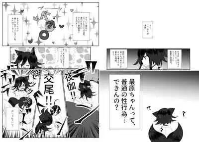 Web Sairoku