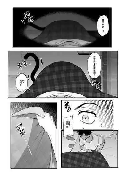 貓狗事變