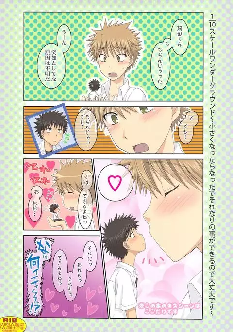 1/10 Scale Wonderground