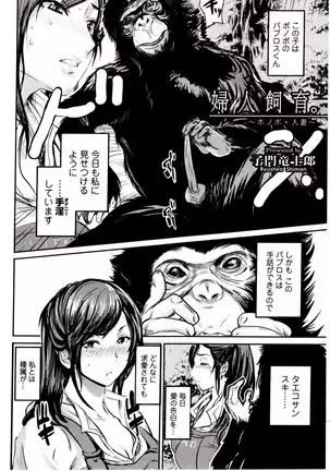 Kemono DIRECT 4 (MD komikkusu NEO)komikku - adaruto,20161027