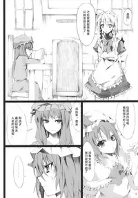 (Aka no Hiroba 3) [KOTI (A Toshi)] PARANOIA (Touhou Project) [Chinese] [Flandre个人汉化]
