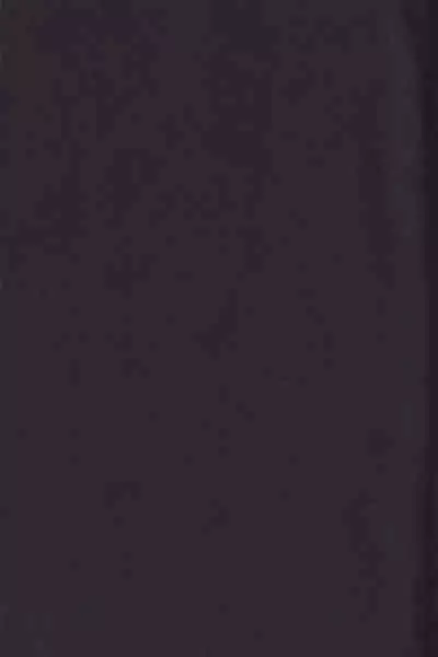 (Gotcha! to Iku ze!! Trans for Market 2) [INK (Kandagawa Gufu)] Ibara no Ou (Transformers)