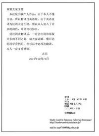 (C84) [Bakunyu Fullnerson (Kokuriu)] S-chun (Street Fighter) [Chinese] [古羽个人汉化]