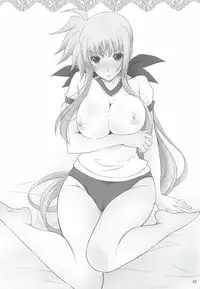 (C83) [Rivajima (Yajima Index)] Bokura wa Fate-san ga Chi*po wo Hanashitekurenai no ni Odoroita! (Mahou Shoujo Lyrical Nanoha)