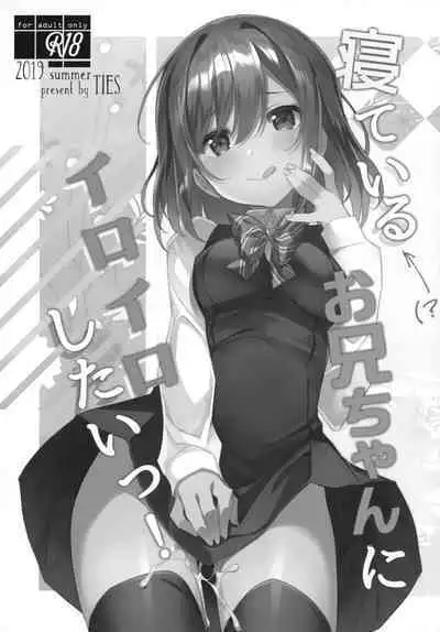 (C96) [TIES (Takei Ooki)] Neteiru (?) Onii-chan ni Iroiro Shitai! | I Want to Do Lots of Things With My Sleeping Onii-chan! [English] [TRJR]