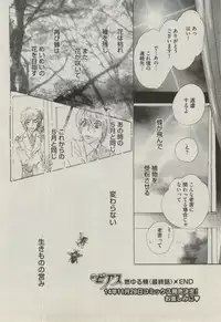 BOY'S ピアス 2014-11