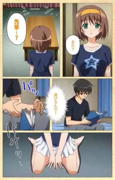 Fukubiki! Triangle Kanzenban