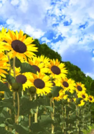 Natsu no Yotogi Mura no Fuushuu de Tabibito o Sono Mi de Motensau Watashi to Mama no Monogatari