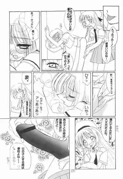 (C55) [Shinobi no Yakata (Iwama Yoshiki)] JEWEL BOX 7 (Card Captor Sakura)