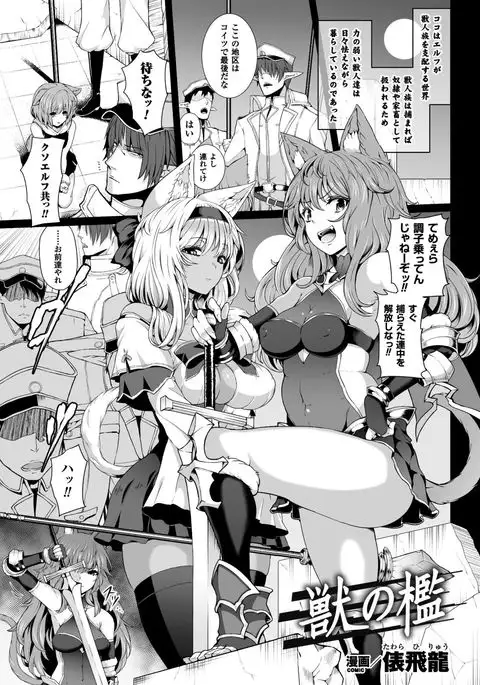 Seigi no Heroine Kangoku File Vol. 9